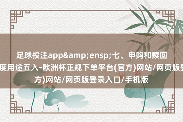 足球投注app&ensp;七、申购和赎回的价钱、用度极度用途五入-欧洲杯正规下单平台(官方)网站/网页版登录入口/手机版