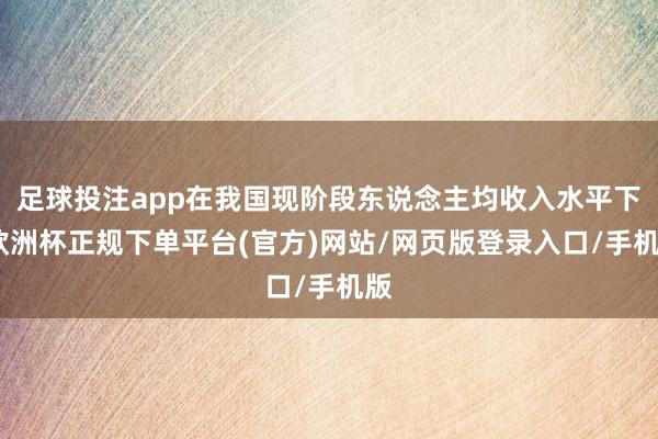 足球投注app在我国现阶段东说念主均收入水平下-欧洲杯正规下单平台(官方)网站/网页版登录入口/手机版