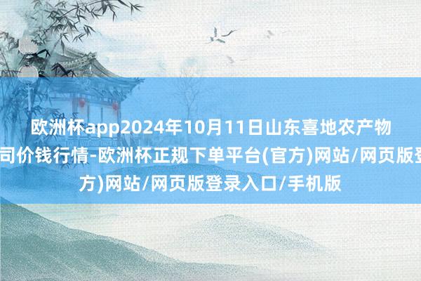 欧洲杯app2024年10月11日山东喜地农产物阛阓处理有限公司价钱行情-欧洲杯正规下单平台(官方)网站/网页版登录入口/手机版